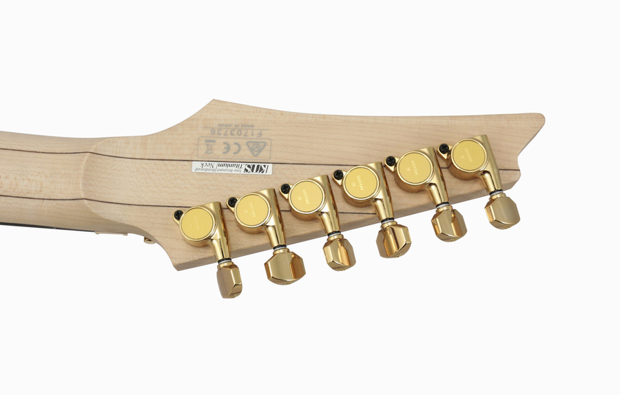 Ibanez J. Custom RG 30th Anniversary Limited Edition