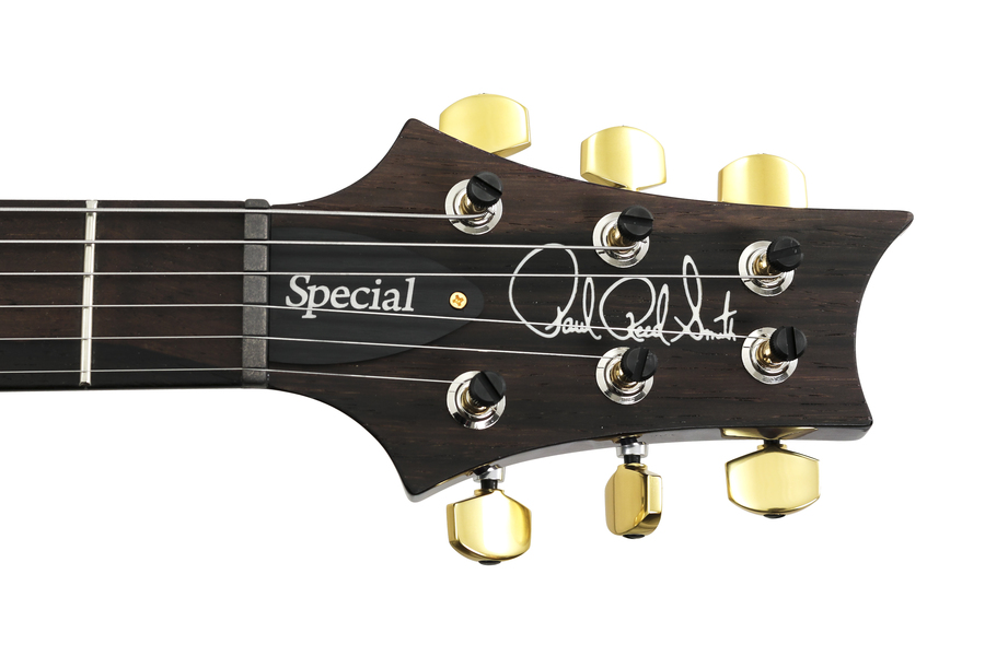 Paul Reed Smith Wood Library Special 22 Rainbow Guitars 45th